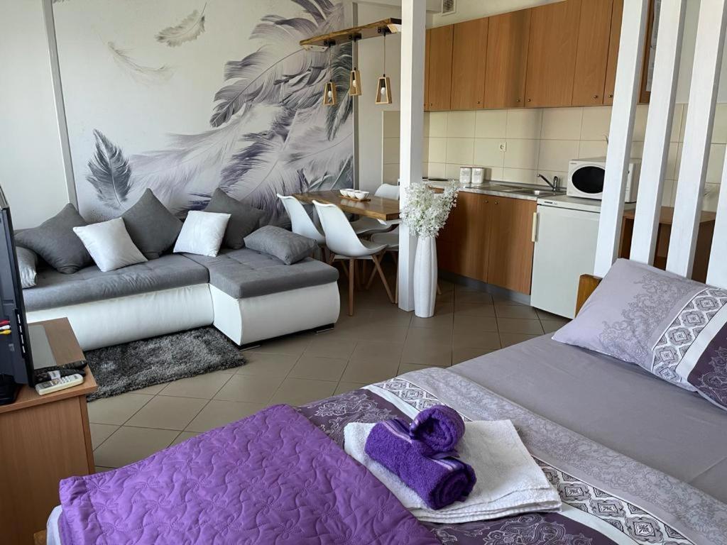 Banja Koviljača Apartman Lukic מראה חיצוני תמונה