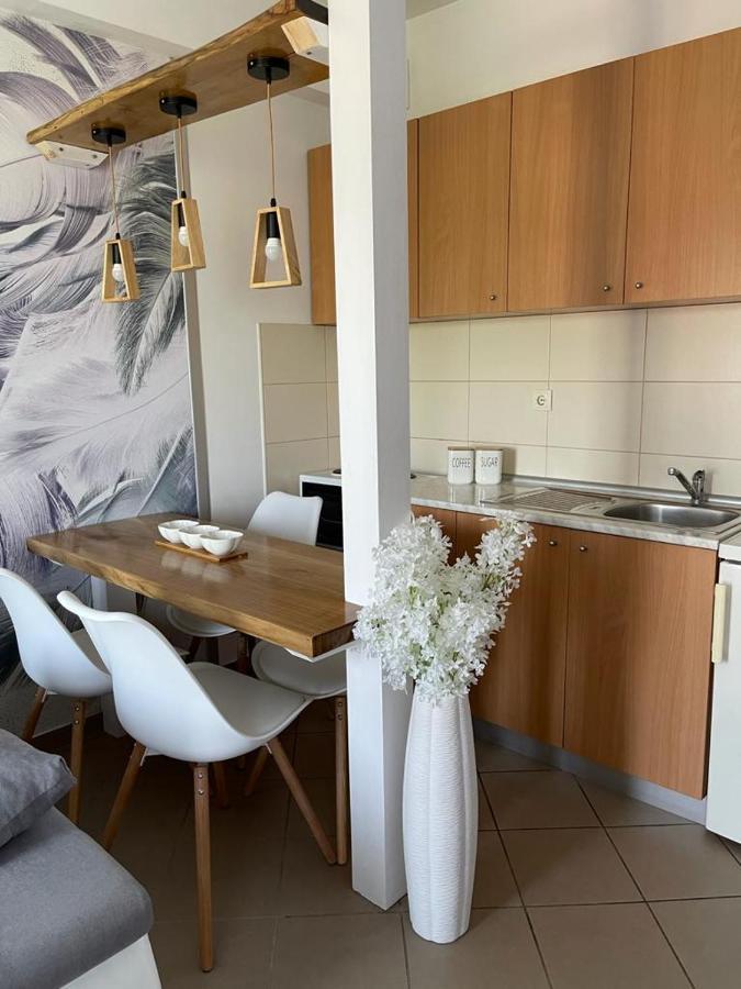 Banja Koviljača Apartman Lukic מראה חיצוני תמונה