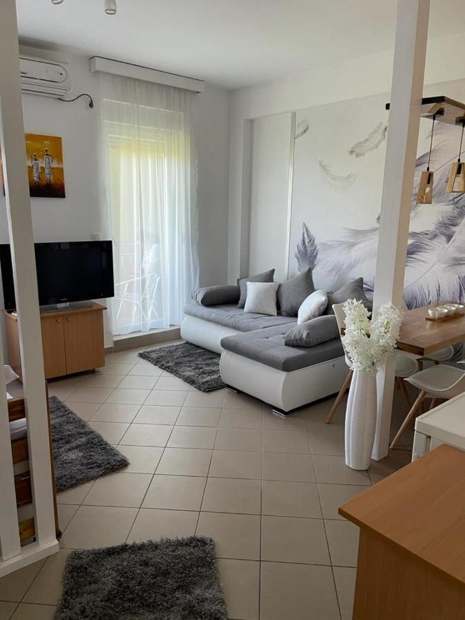 Banja Koviljača Apartman Lukic מראה חיצוני תמונה