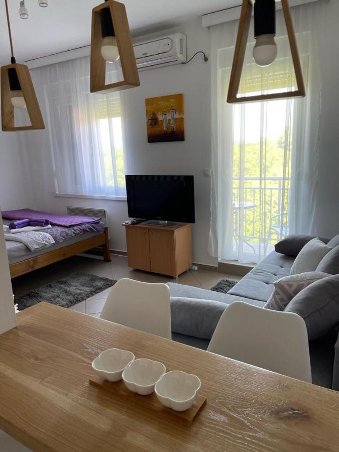 Banja Koviljača Apartman Lukic מראה חיצוני תמונה