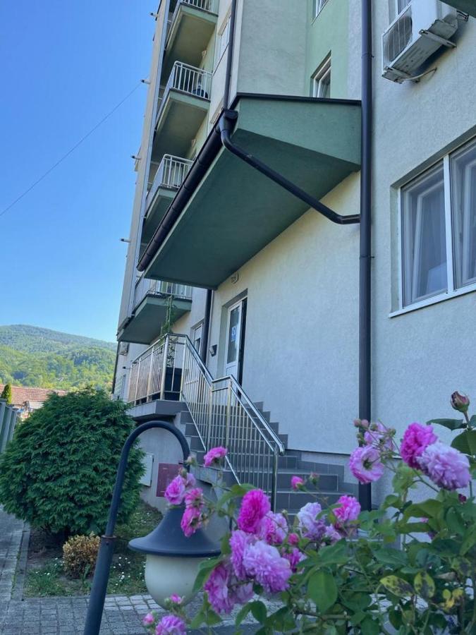 Banja Koviljača Apartman Lukic מראה חיצוני תמונה