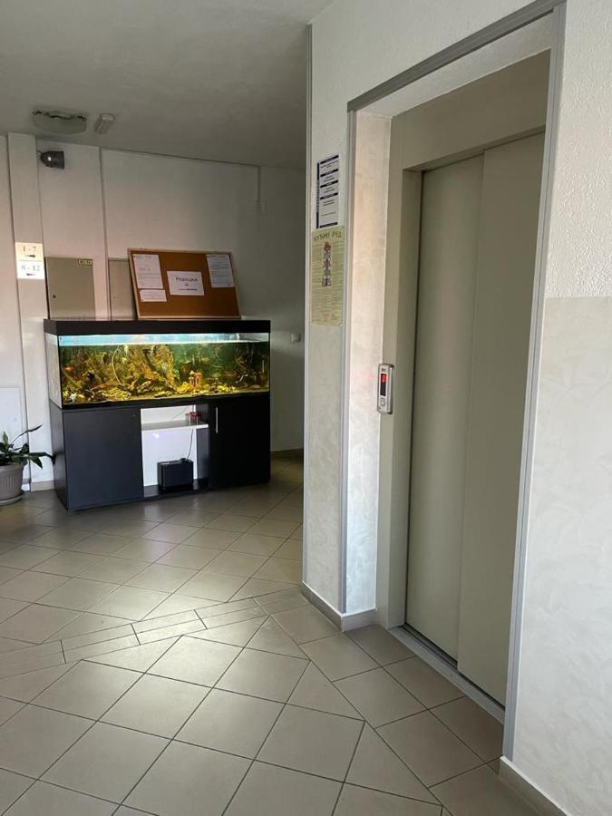 Banja Koviljača Apartman Lukic מראה חיצוני תמונה