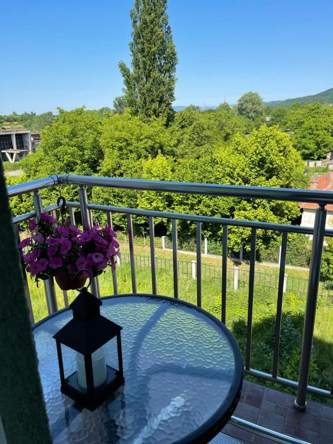 Banja Koviljača Apartman Lukic מראה חיצוני תמונה